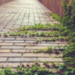 Vialetto di giardino con erbacce, aceto bianco in bottiglia pronto per l'uso come diserbante naturale.