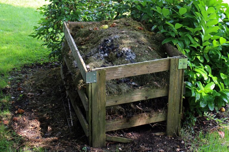 6 idee per un compost di qualità: la numero 5 accelera la decomposizione