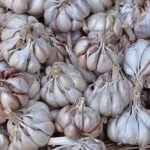 Aglio coltivato accanto a fragole, ideale per proteggere le piante dai funghi.