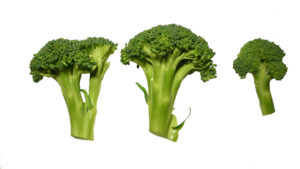 Il lato oscuro dei brocoli ecco quando non li devi mangiare