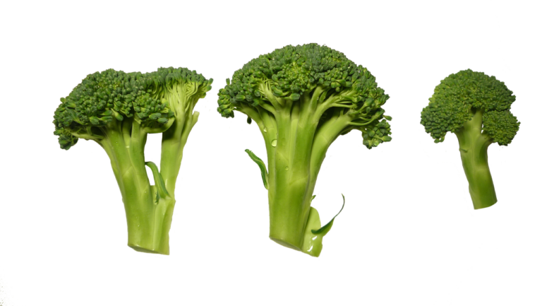 Il lato oscuro dei brocoli ecco quando non li devi mangiare