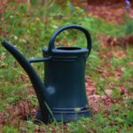 Annaffiatoio a collo lungo in uso, ideale per irrigare piante senza bagnare le foglie.