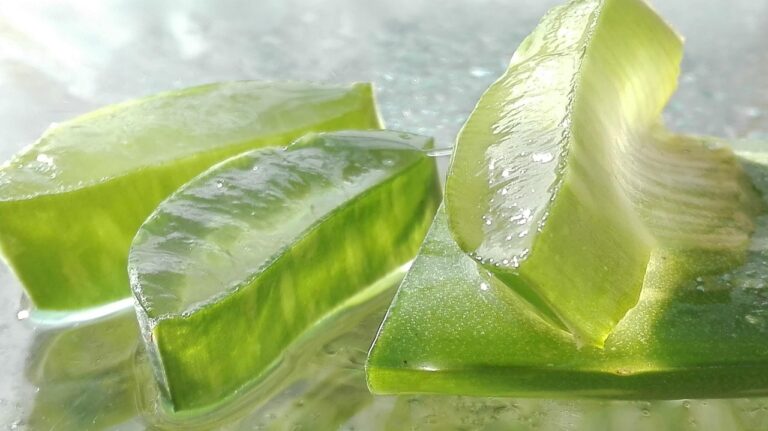 Il gel di aloe vera bevibile: un toccasana per chi soffre di gastrite