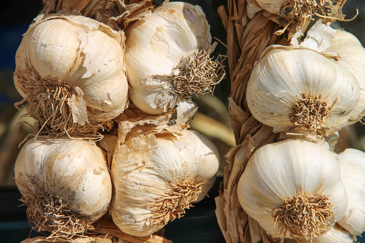 Aglio con foglie gialle, segnale di malattia o carenza nutritiva nella pianta.