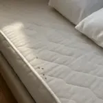 Piccoli insetti marroni nel letto: riconoscerli è il primo passo per non sbagliarsi