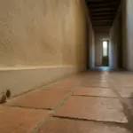 Pipistrelli in solaio e insetti nel corridoio: non sono cimici del letto
