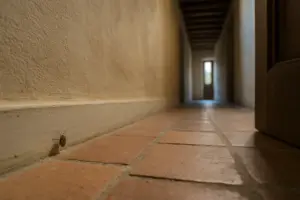 Pipistrelli in solaio e insetti nel corridoio: non sono cimici del letto