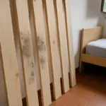 Umidità e listelli del letto: quando muffa e insetti arrivano insieme